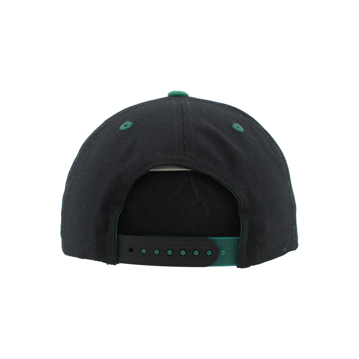 IDAHO STEELHEADS RETRO PLATE SNAPBACK HAT, WHITE/GREEN/BLACK