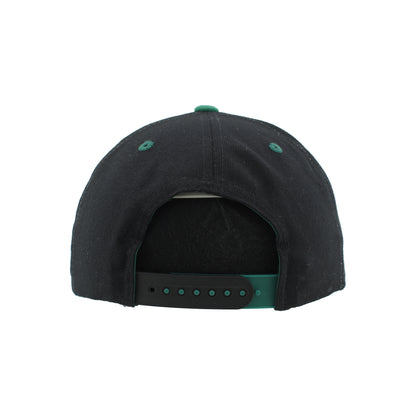 IDAHO STEELHEADS RETRO PLATE SNAPBACK HAT, WHITE/GREEN/BLACK
