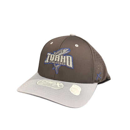 IDAHO STEELHEADS ADVENT DUSK FLEX FIT HAT, CHARCOAL