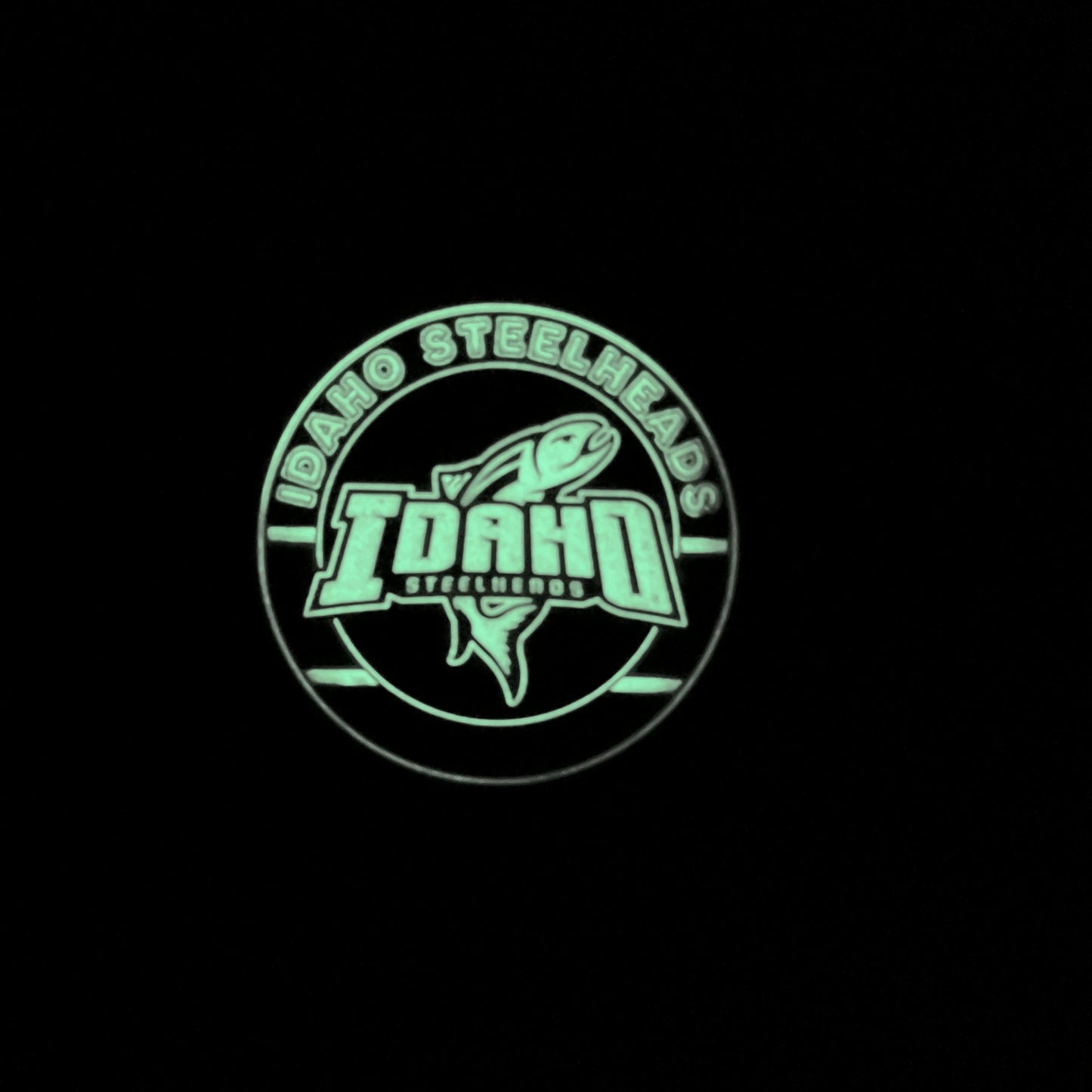 IDAHO STEELHEADS  GLOW IN THE DARK PUCK